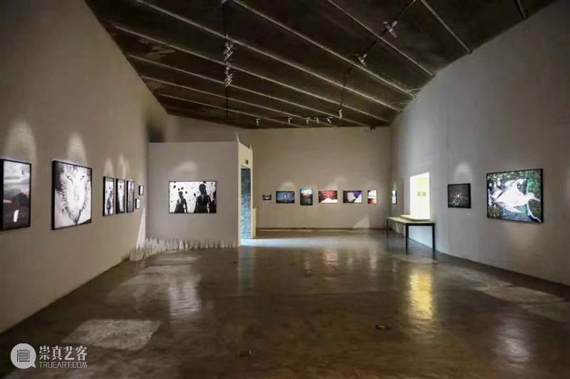 即将闭幕 | 《荒糖——神思远个展》《野望——陈荣辉个展》 荒糖 神思远个展 野望——陈荣辉个展 三影堂+3画廊 艺术家 神思远 陈荣辉 个展 野望 展期 崇真艺客