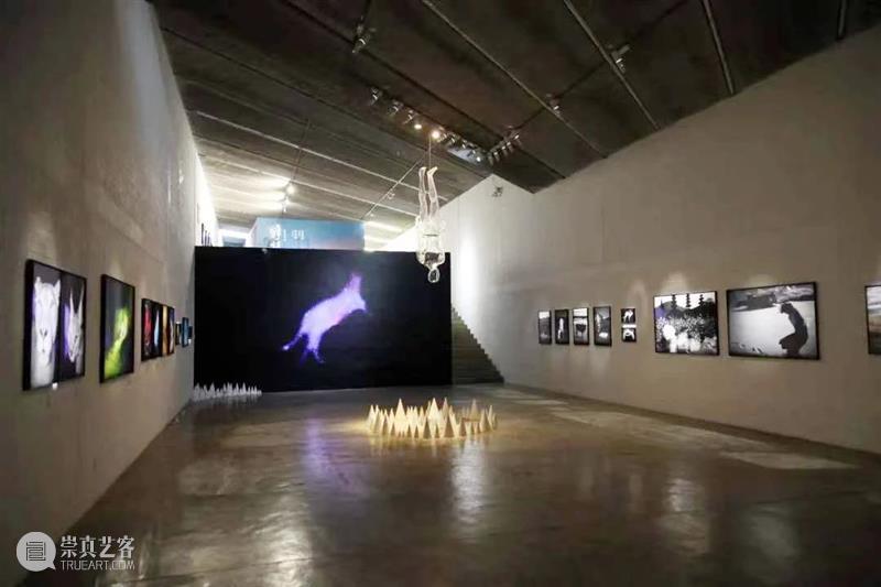 即将闭幕 | 《荒糖——神思远个展》《野望——陈荣辉个展》 荒糖 神思远个展 野望——陈荣辉个展 三影堂+3画廊 艺术家 神思远 陈荣辉 个展 野望 展期 崇真艺客