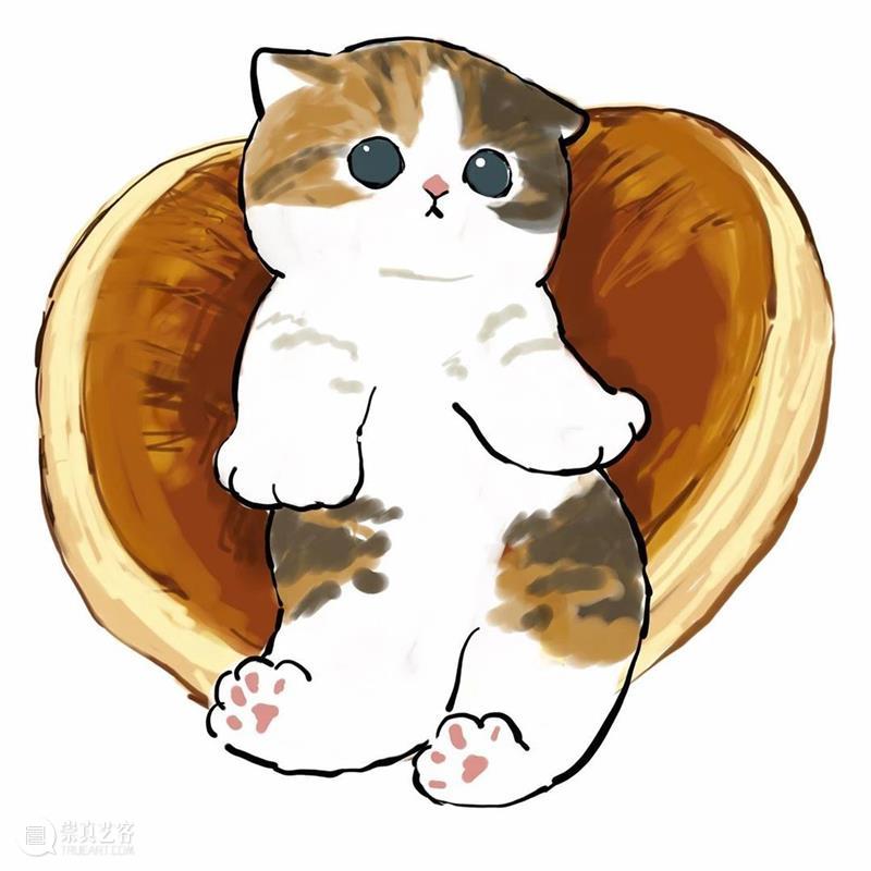 又是被小奶猫治愈的一天 崇真艺客