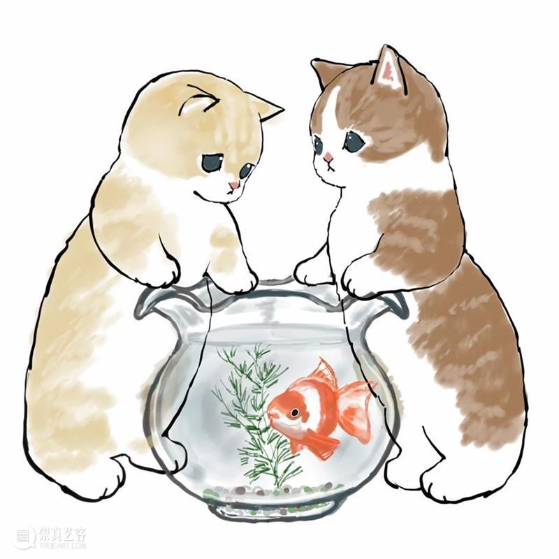 又是被小奶猫治愈的一天 崇真艺客