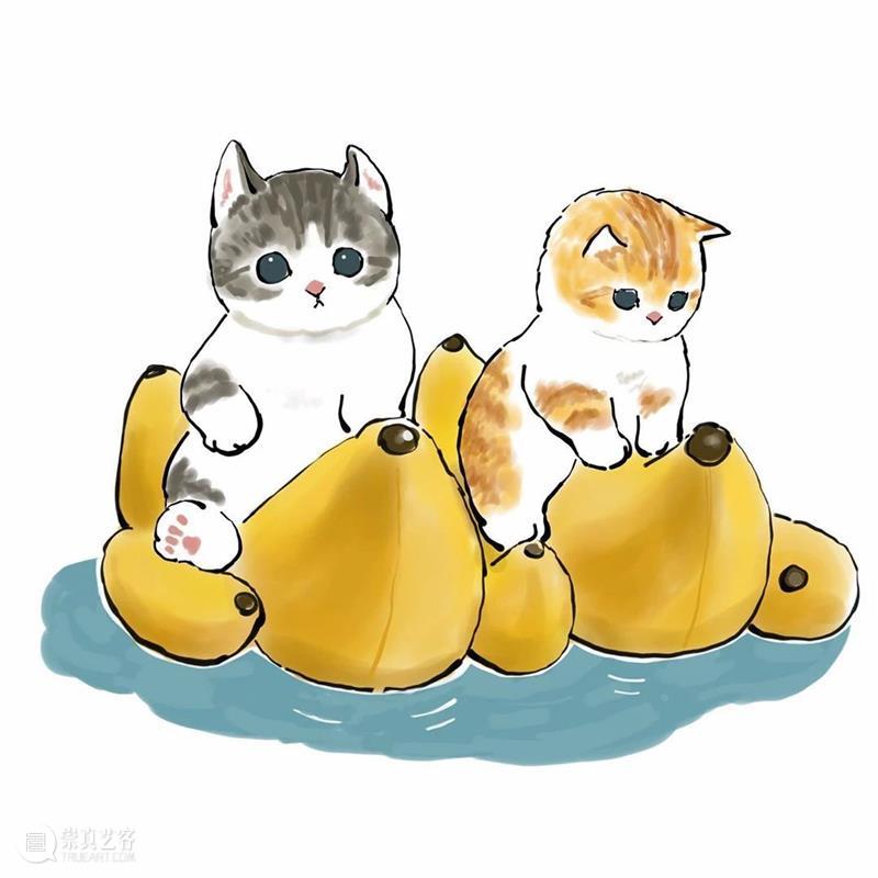 又是被小奶猫治愈的一天 崇真艺客