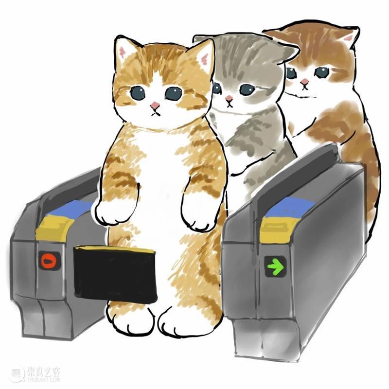 又是被小奶猫治愈的一天 崇真艺客