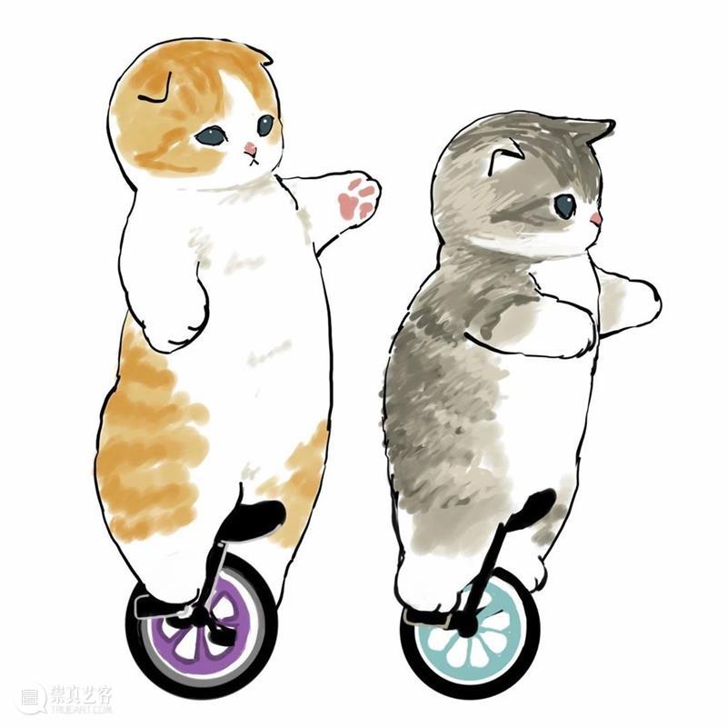 又是被小奶猫治愈的一天 崇真艺客