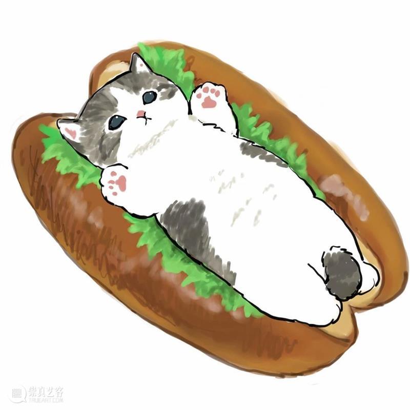 又是被小奶猫治愈的一天 崇真艺客