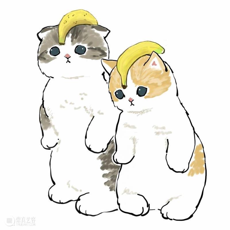 又是被小奶猫治愈的一天 崇真艺客