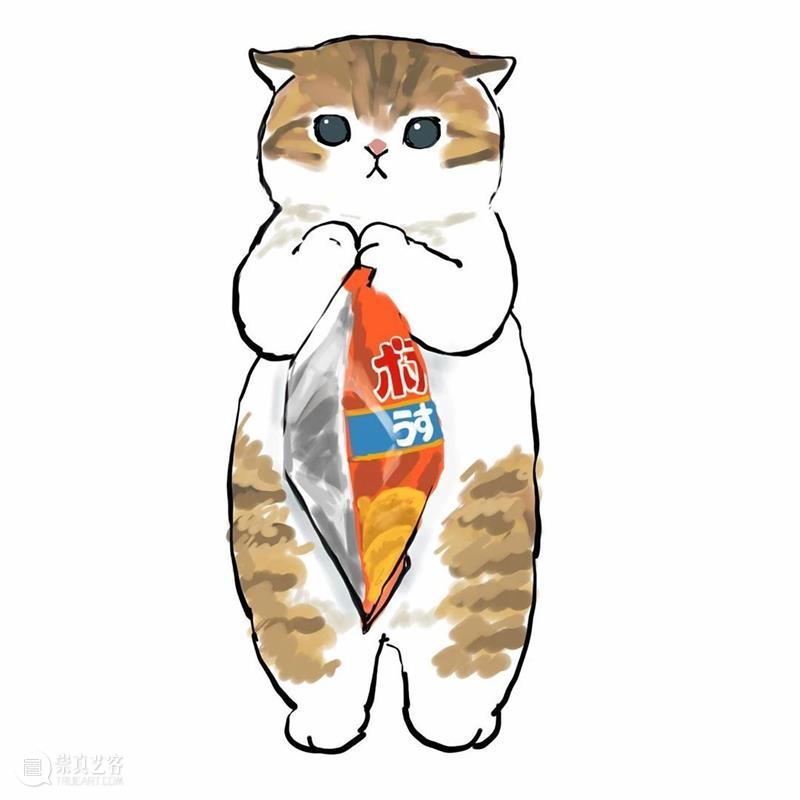 又是被小奶猫治愈的一天 崇真艺客