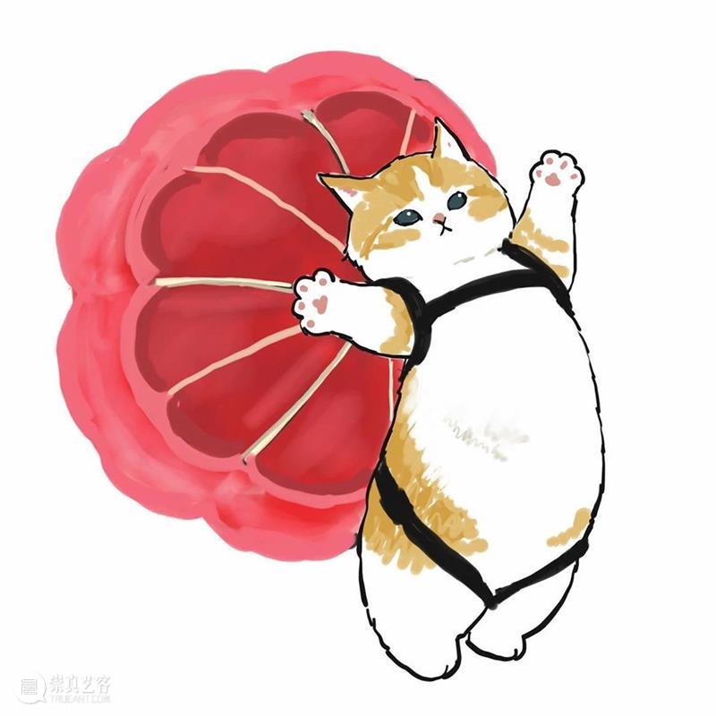 又是被小奶猫治愈的一天 崇真艺客