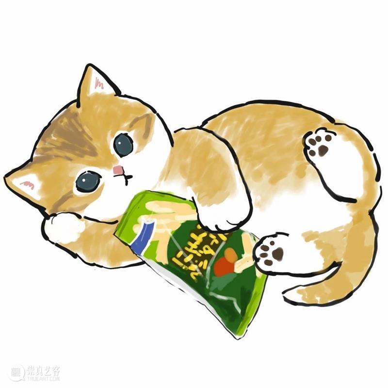 又是被小奶猫治愈的一天 崇真艺客