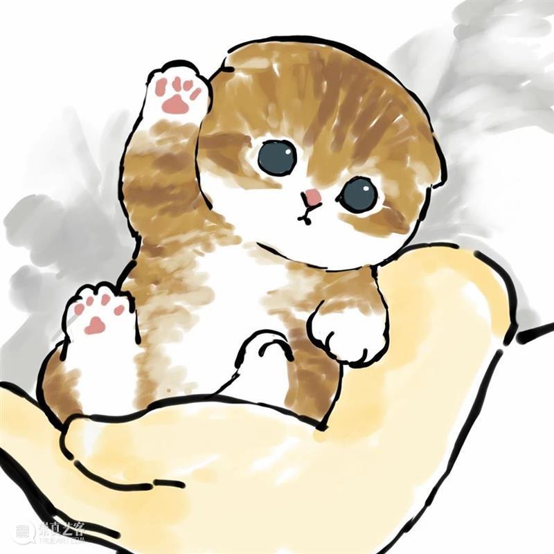 又是被小奶猫治愈的一天 崇真艺客