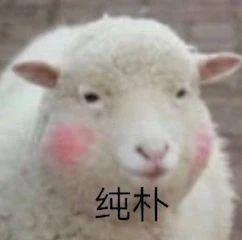 《哆啦A梦》剧场版等新片定档；全智贤《王国》外传定档2021年 哆啦A梦 剧场版 王国 全智贤 新片 外传定档 影视 好剧 小豆 杰克·伦敦 崇真艺客