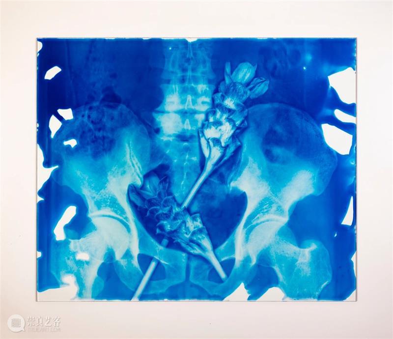 HdM 画廊 |  2020 上海 ART021 艺术博览会  | 展位 W19 HdM 画廊 上海 艺术 博览会 展位 期间 艺术家 李竞雄 陆超 崇真艺客