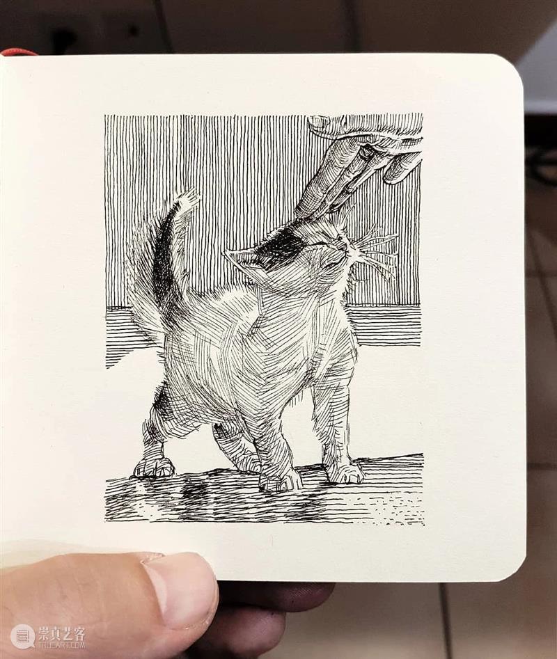 针管笔手绘 | 每一只猫猫都画得非常传神！—— Alberto Russo 针管笔 手绘 猫猫 Russo END 崇真艺客