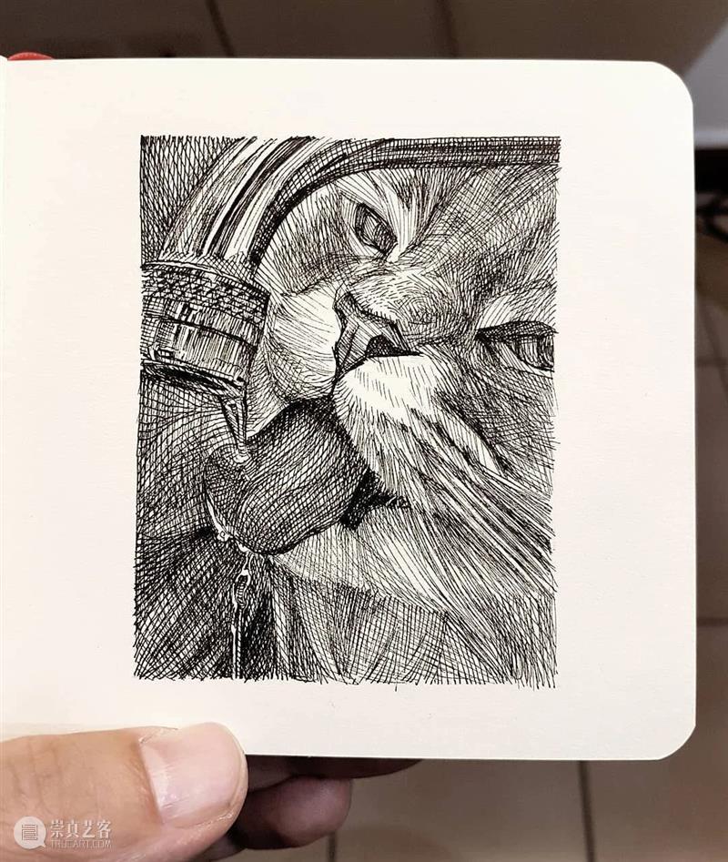 针管笔手绘 | 每一只猫猫都画得非常传神！—— Alberto Russo 针管笔 手绘 猫猫 Russo END 崇真艺客