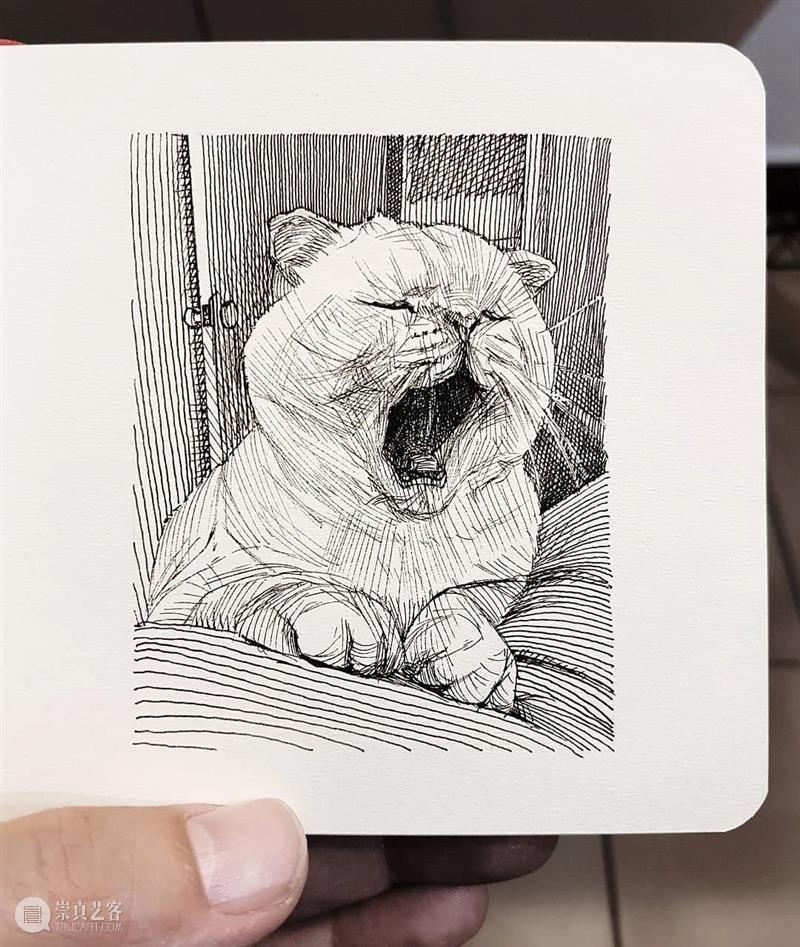 针管笔手绘 | 每一只猫猫都画得非常传神！—— Alberto Russo 针管笔 手绘 猫猫 Russo END 崇真艺客