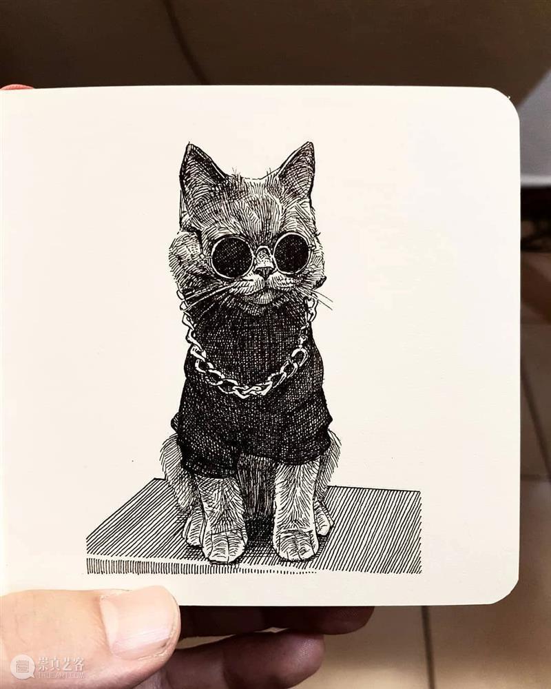 针管笔手绘 | 每一只猫猫都画得非常传神！—— Alberto Russo 针管笔 手绘 猫猫 Russo END 崇真艺客