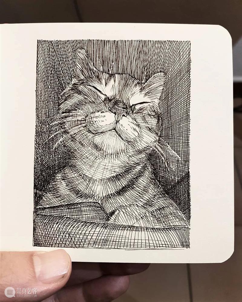 针管笔手绘 | 每一只猫猫都画得非常传神！—— Alberto Russo 针管笔 手绘 猫猫 Russo END 崇真艺客