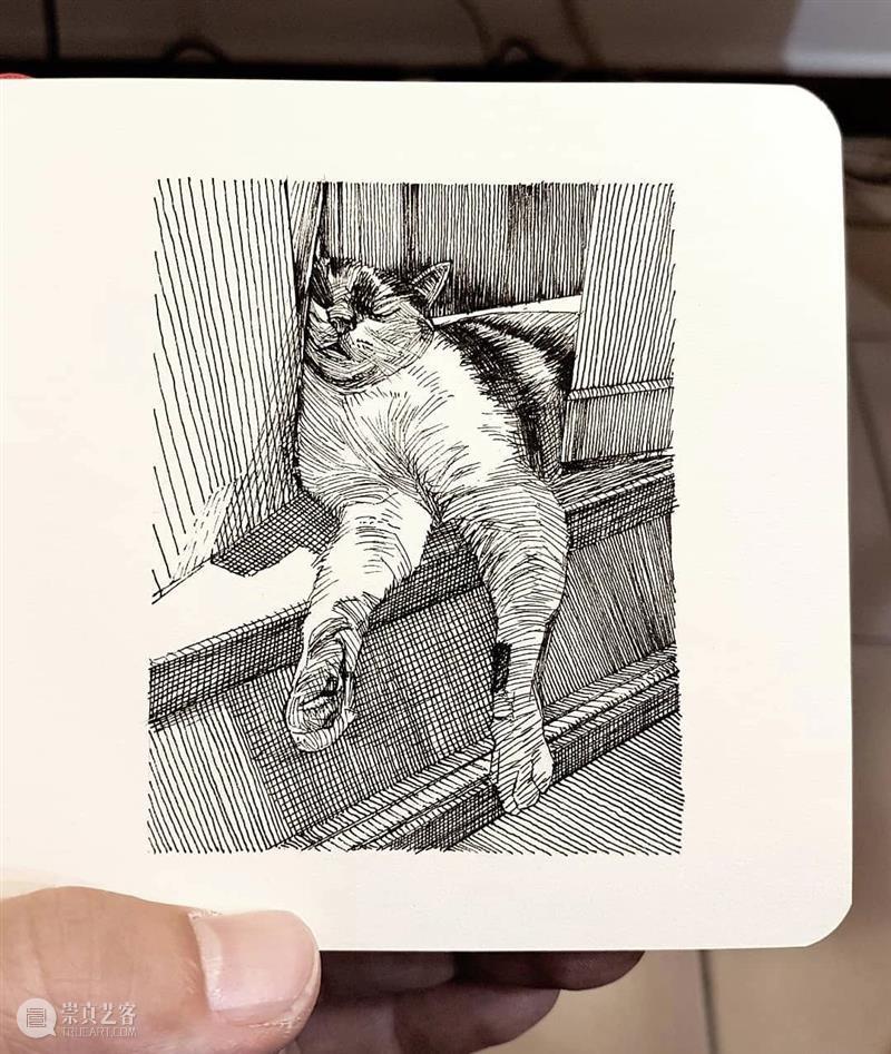 针管笔手绘 | 每一只猫猫都画得非常传神！—— Alberto Russo 针管笔 手绘 猫猫 Russo END 崇真艺客