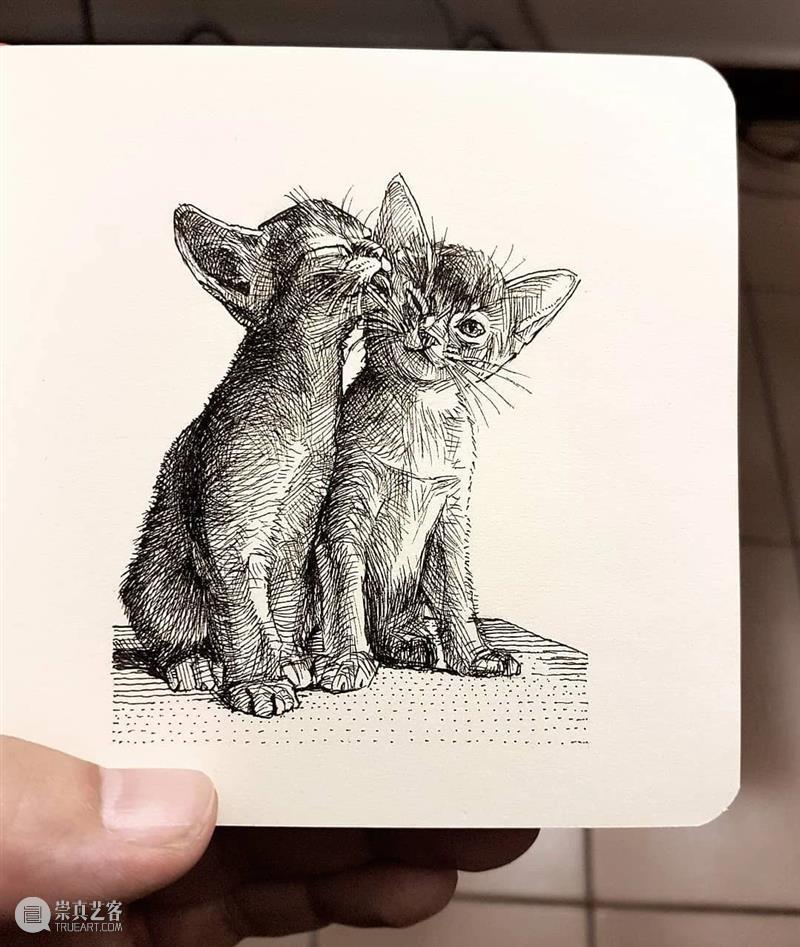 针管笔手绘 | 每一只猫猫都画得非常传神！—— Alberto Russo 针管笔 手绘 猫猫 Russo END 崇真艺客