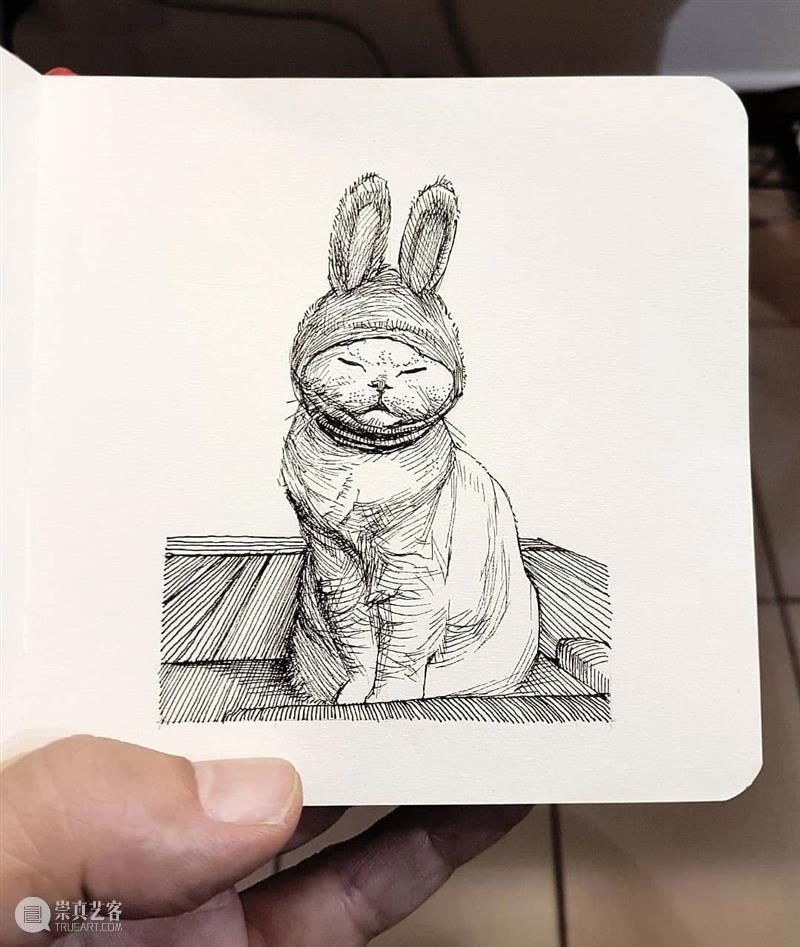针管笔手绘 | 每一只猫猫都画得非常传神！—— Alberto Russo 针管笔 手绘 猫猫 Russo END 崇真艺客