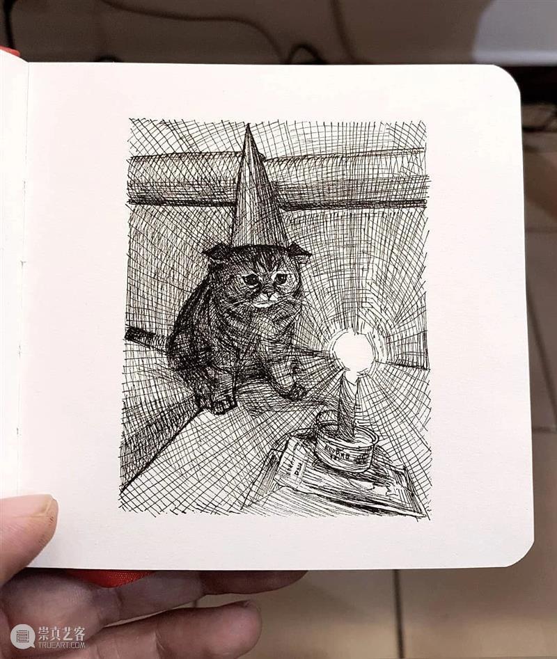 针管笔手绘 | 每一只猫猫都画得非常传神！—— Alberto Russo 针管笔 手绘 猫猫 Russo END 崇真艺客
