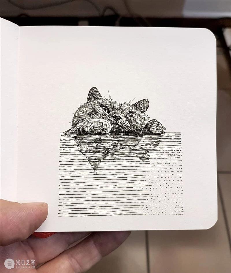 针管笔手绘 | 每一只猫猫都画得非常传神！—— Alberto Russo 针管笔 手绘 猫猫 Russo END 崇真艺客