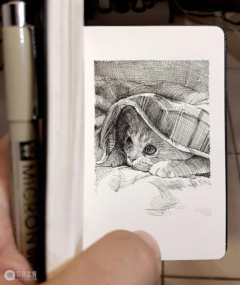 针管笔手绘 | 每一只猫猫都画得非常传神！—— Alberto Russo 针管笔 手绘 猫猫 Russo END 崇真艺客