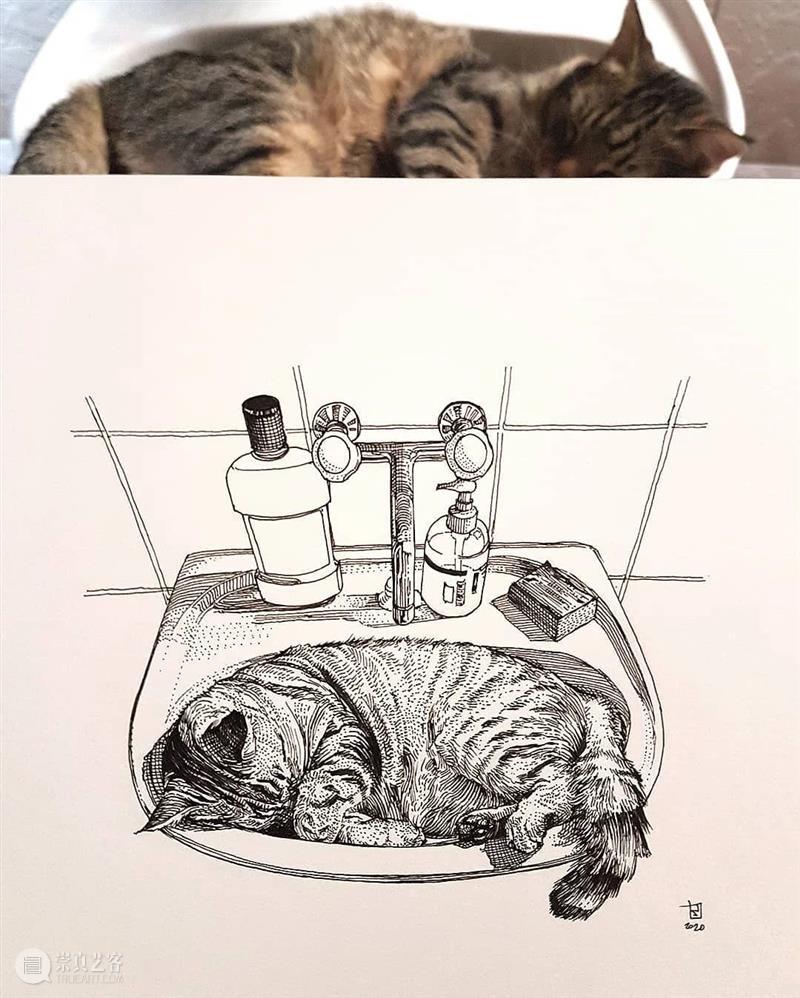 针管笔手绘 | 每一只猫猫都画得非常传神！—— Alberto Russo 针管笔 手绘 猫猫 Russo END 崇真艺客