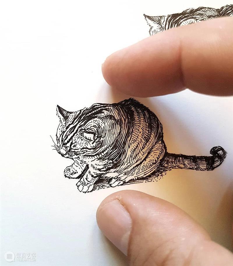 针管笔手绘 | 每一只猫猫都画得非常传神！—— Alberto Russo 针管笔 手绘 猫猫 Russo END 崇真艺客