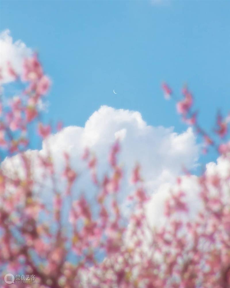 云月长空  中国美术精选 云月 长空 阿根廷 摄影师 Alonso 作品 天空 云朵 繁星 月亮 崇真艺客