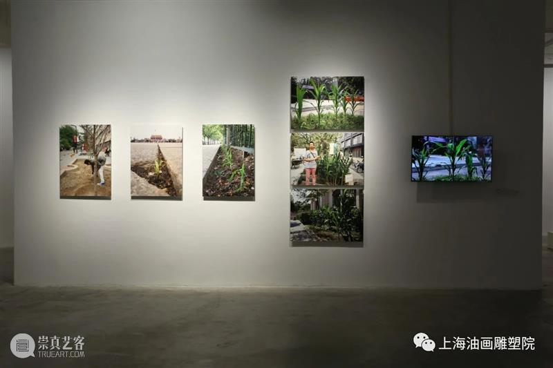 【上海油雕院 l 作品赏析】“存象——上海青年雕塑家邀请展”（三） 上海 青年 雕塑家 邀请展 作品 上海油画雕塑院 上海油画雕塑院美术馆 社会 公众 艺术家 崇真艺客
