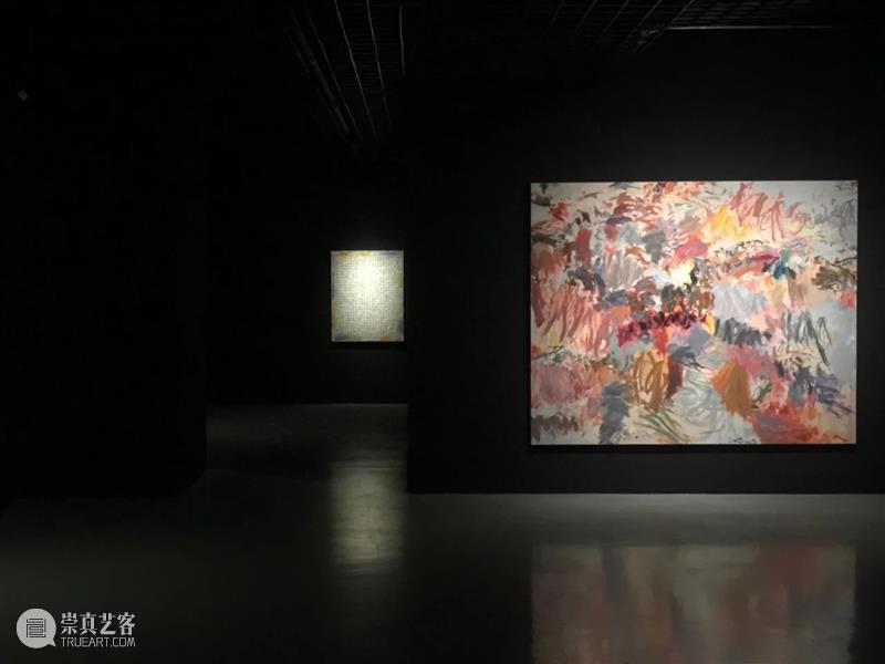 陈墙 | 2020 · 致幻——景观与抽象艺术 崇真艺客