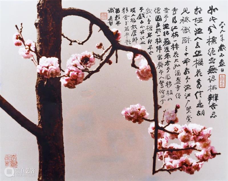 yuznews |『The Abode of Illusions: The Garden of Zhang Daqian』 yuznews from April Taipei named term māyā photograph February The 崇真艺客