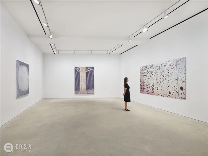 ART021作品赏析 | 吕克·图伊曼斯（Luc Tuymans） 作品 吕克 图伊曼斯 Luc Tuymans 卓纳 画廊 上海 廿一 艺术 崇真艺客