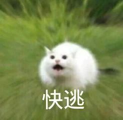 《隐秘的角落》将在日本播出；好莱坞新片《末日逃生》定档 好莱坞 新片 末日逃生 隐秘的角落 日本 影视 好剧 小豆 灾难 动作片 崇真艺客