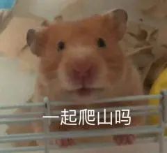 《隐秘的角落》将在日本播出；好莱坞新片《末日逃生》定档 好莱坞 新片 末日逃生 隐秘的角落 日本 影视 好剧 小豆 灾难 动作片 崇真艺客
