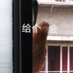 《隐秘的角落》将在日本播出；好莱坞新片《末日逃生》定档 好莱坞 新片 末日逃生 隐秘的角落 日本 影视 好剧 小豆 灾难 动作片 崇真艺客