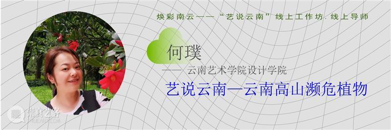 重磅！云南10多所高校联合开启线上艺术大事件！ 高校 艺术 云南 线上 大事件 中国 数字 大赛 工作坊 云南艺术学院 崇真艺客
