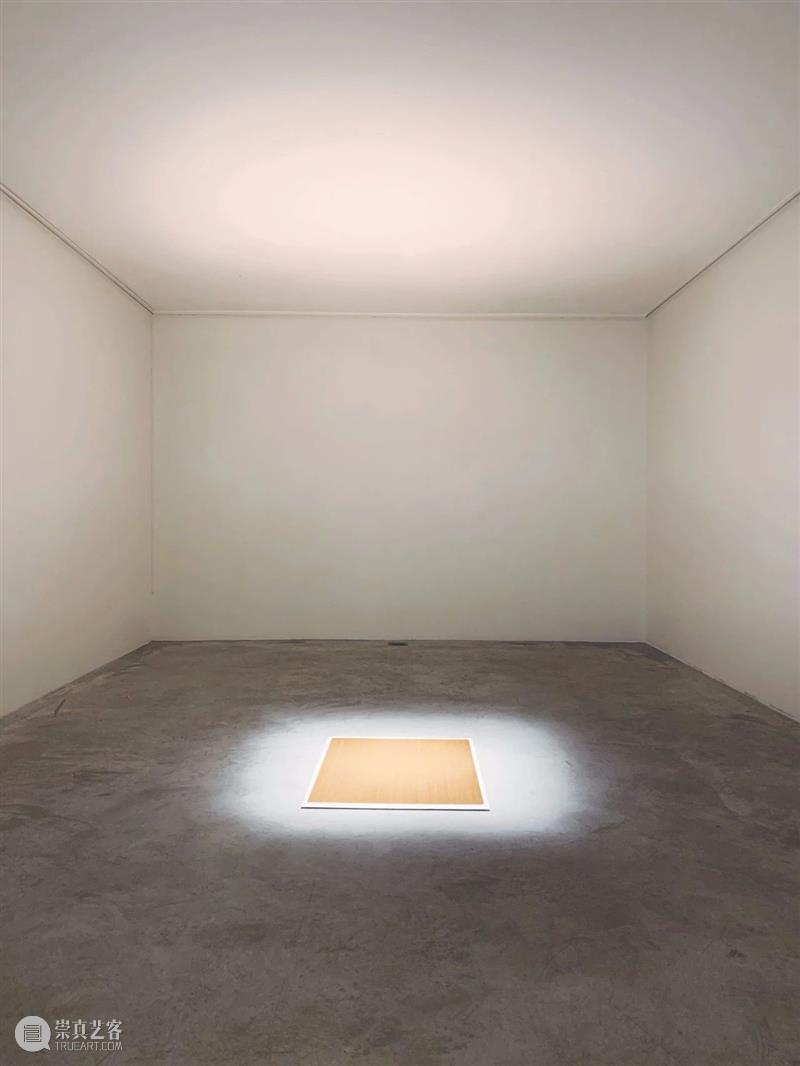 同行/我们的记忆由铜线和电路主宰 | 2020杜尚奖提名Alice Anderson Alice Anderson 铜线 记忆 同行 电路 杜尚奖 法裔 英国 艺术家 崇真艺客