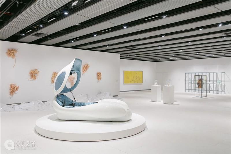 立木画廊艺术家专题——李昢 Lee Bul | 西岸艺博会2020 画廊 艺术家 Bul 专题 西岸艺博会 西岸 艺术 博览会 标志性 作品 崇真艺客