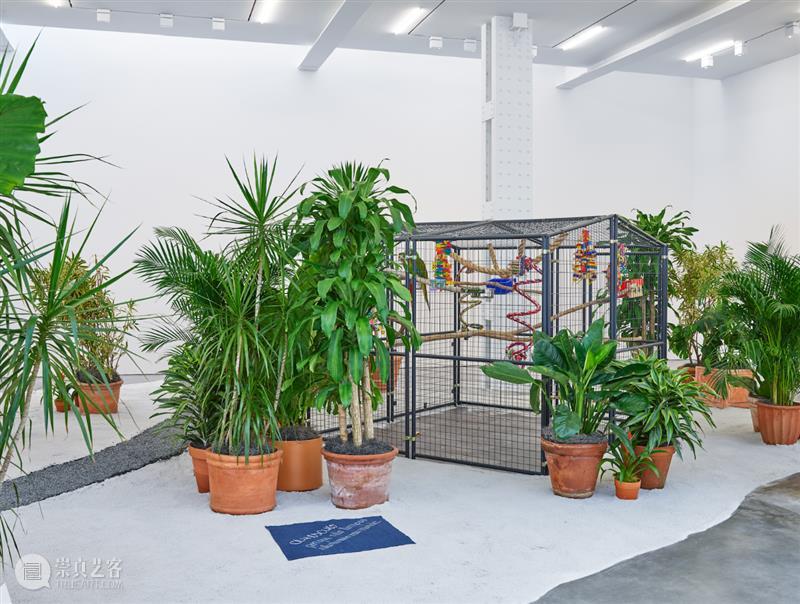 里森纽约 | 何里欧·奥迪塞卡 (Hélio Oiticica) 正在展出 Hélio Oiticica 何里欧 奥迪 纽约 Tropicália Purity Imagetical Wood mesh 崇真艺客