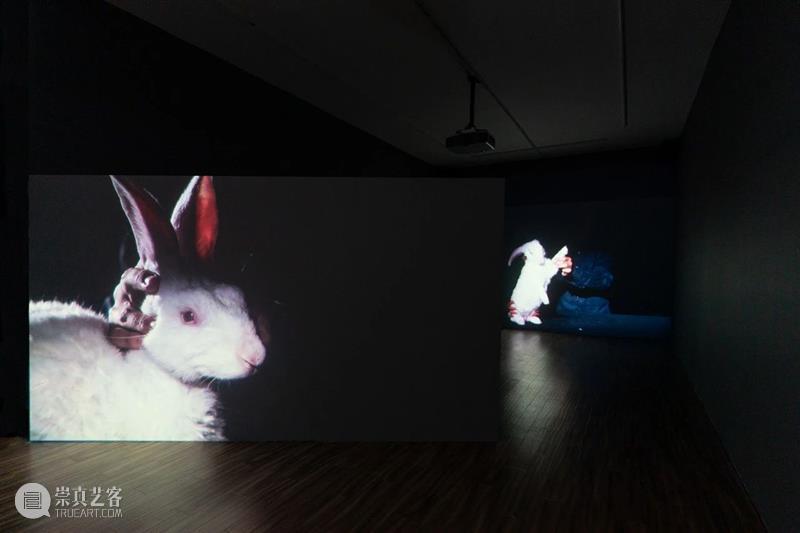 展览现场 | 许哲瑜：不寻常的某日 许哲瑜 现场 艺术家 许哲 Hsu Che 展期 地点 上海市 莫干山路50号4号楼 崇真艺客