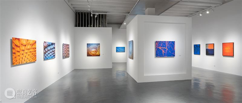 ArtCN参展2020西岸艺博会 | 展位A227   崇真艺客