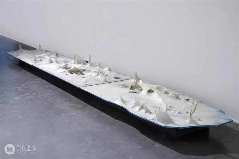 艺博会 | 香格纳画廊参展2020西岸艺术与设计博览会 | 展位A106 西岸 艺术 博览会 展位 香格纳画廊 艺博会 香格纳 Design A106藏家预览 Collector 崇真艺客