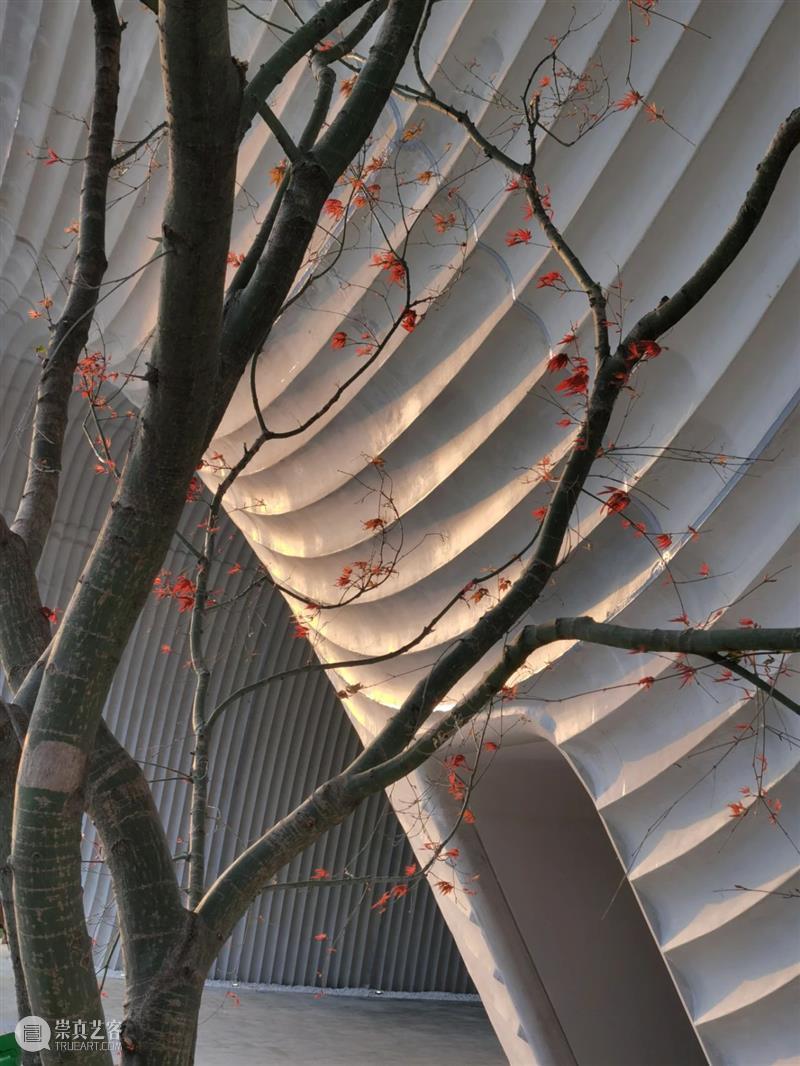 西安沣东新城莱安社区中心 / EID Architecture 西安沣东新城莱安社区中心 路径 建筑 西安城市中轴线西延段上的莱安社区中心近日 沣东新城 关中 渭河 冲积平原 秦岭 西咸一体化 崇真艺客