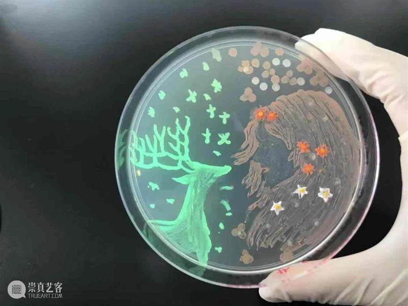 天津美术学院邀你与20多位重量嘉宾共同探讨未来跨学科媒体艺术教育 学科 媒体 艺术 天津美术学院 重量 嘉宾 未来 天津 论坛 天津大学 崇真艺客