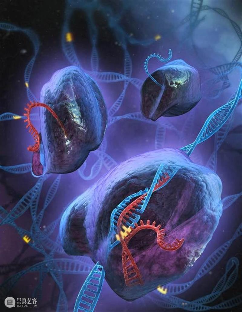 天津美术学院邀你与20多位重量嘉宾共同探讨未来跨学科媒体艺术教育 学科 媒体 艺术 天津美术学院 重量 嘉宾 未来 天津 论坛 天津大学 崇真艺客