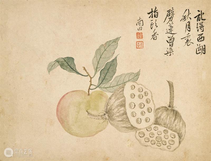 南田清韵：恽寿平笔下的莳花食果 恽寿平 笔下 莳花食果 南田 清韵 佳士得 香港 中国 古代 书画 崇真艺客