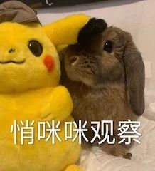 新版《绯闻女孩》开拍；迪士尼新片《黑神驹》曝预告 视频资讯 Douban编辑部 迪士尼 新片 黑神驹 绯闻女孩 新版 预告 影视 好剧 小豆 首曝预告 崇真艺客