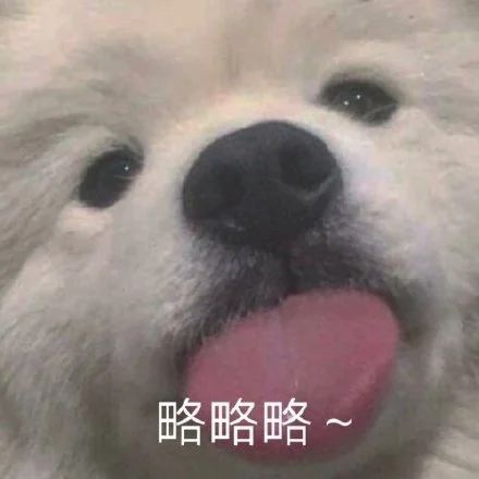 网飞将拍《水浒传》;《艾米丽在巴黎》续订第二季 视频资讯 Douban编辑部 飞将 水浒传 艾米丽在巴黎 续订 影视 好剧 小豆 漫威 旺达 幻视 崇真艺客