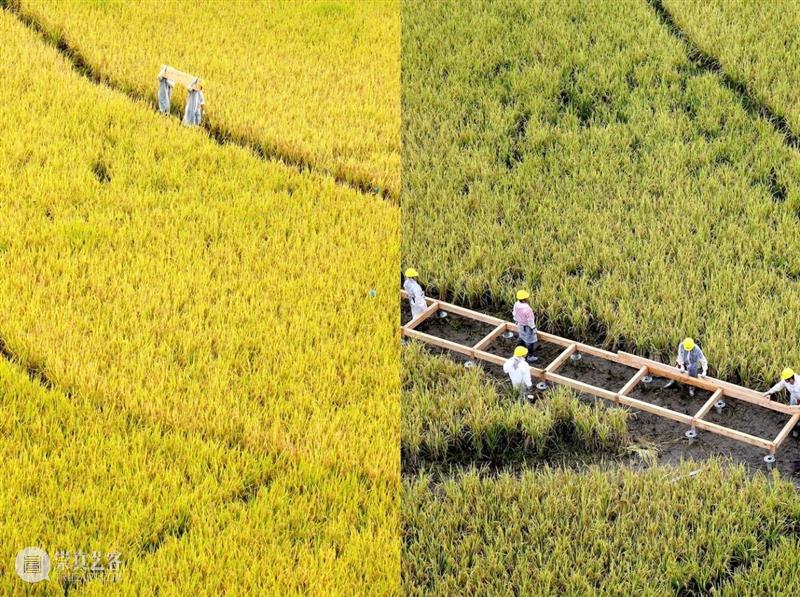 稻田间，城乡共建 / 个个世界 + 先进建筑实验室 世界 建筑 实验室 稻田 城乡 全球 范围 社区 永泰县人民政府 永泰县 崇真艺客